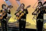 Los Zafiros Photo