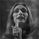 Nanette Workman Photo