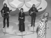 Petticoat and Vine Pop Group
